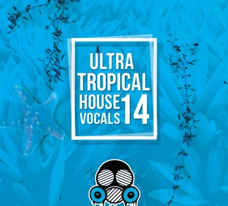 Vandalism Ultra Tropical House Vocals 14 WAV MiDi